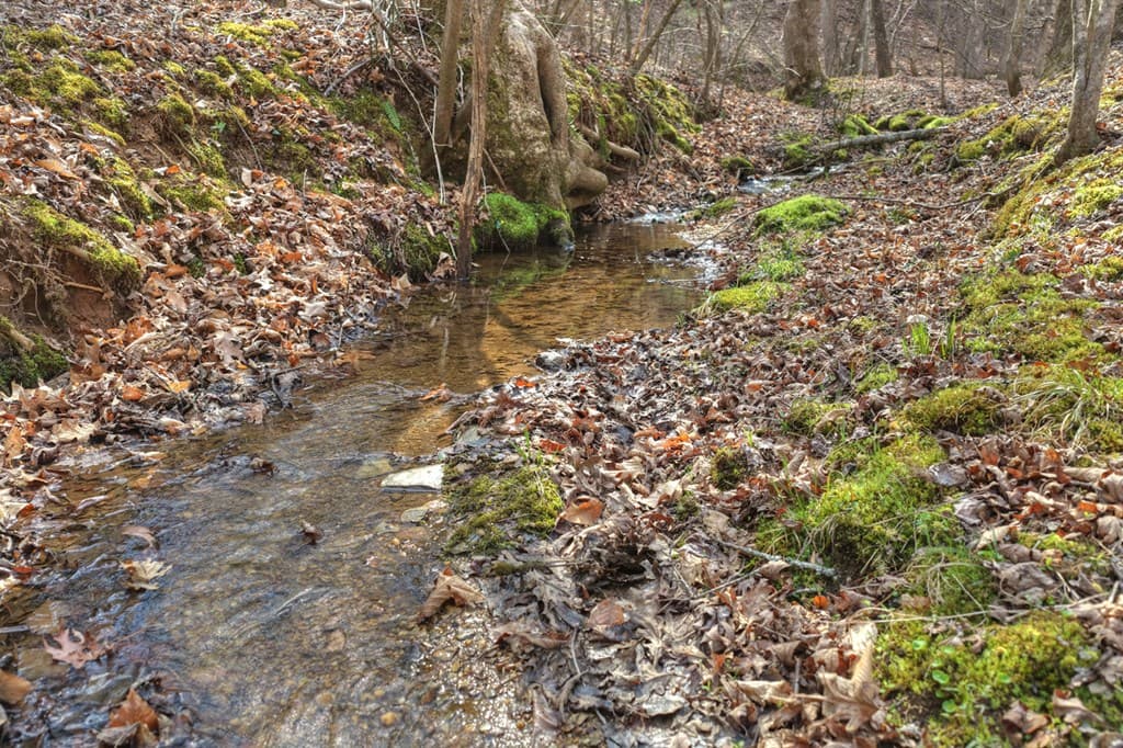LT 13 Rocky Ridge, Mineral Bluff GA 30559 - Photo