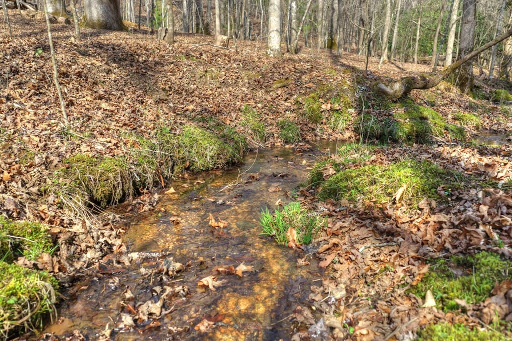 LT 13 Rocky Ridge, Mineral Bluff GA 30559 - Photo