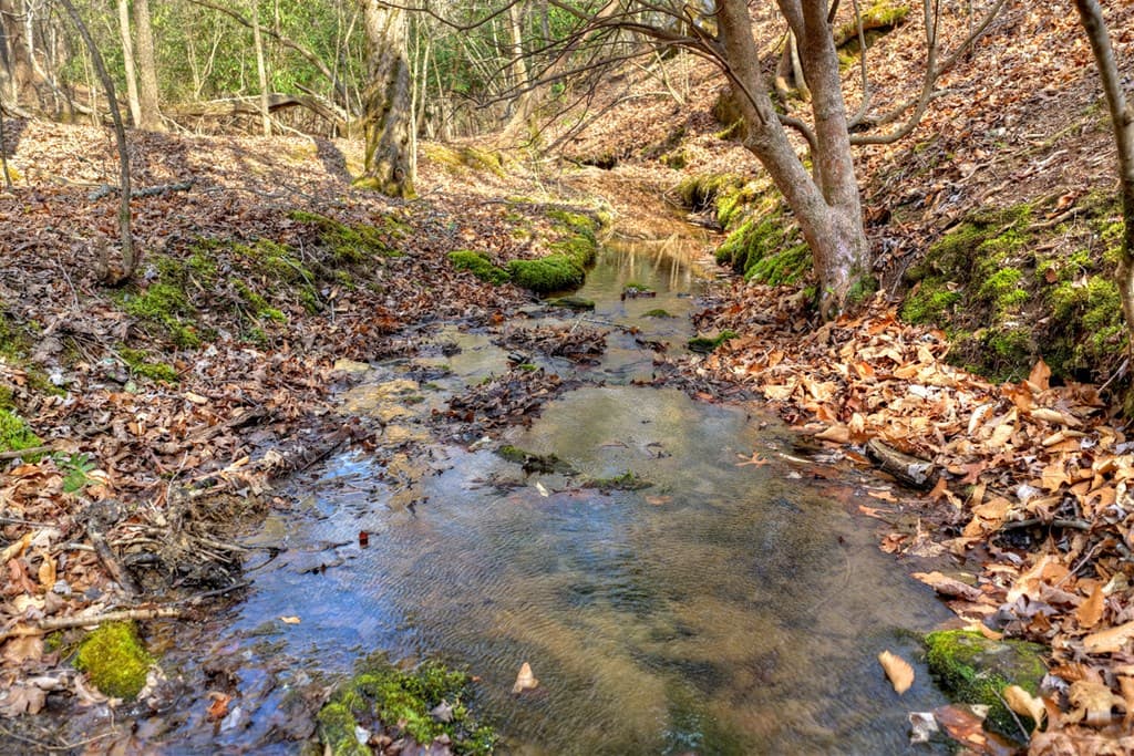 LT 13 Rocky Ridge, Mineral Bluff GA 30559 - Photo