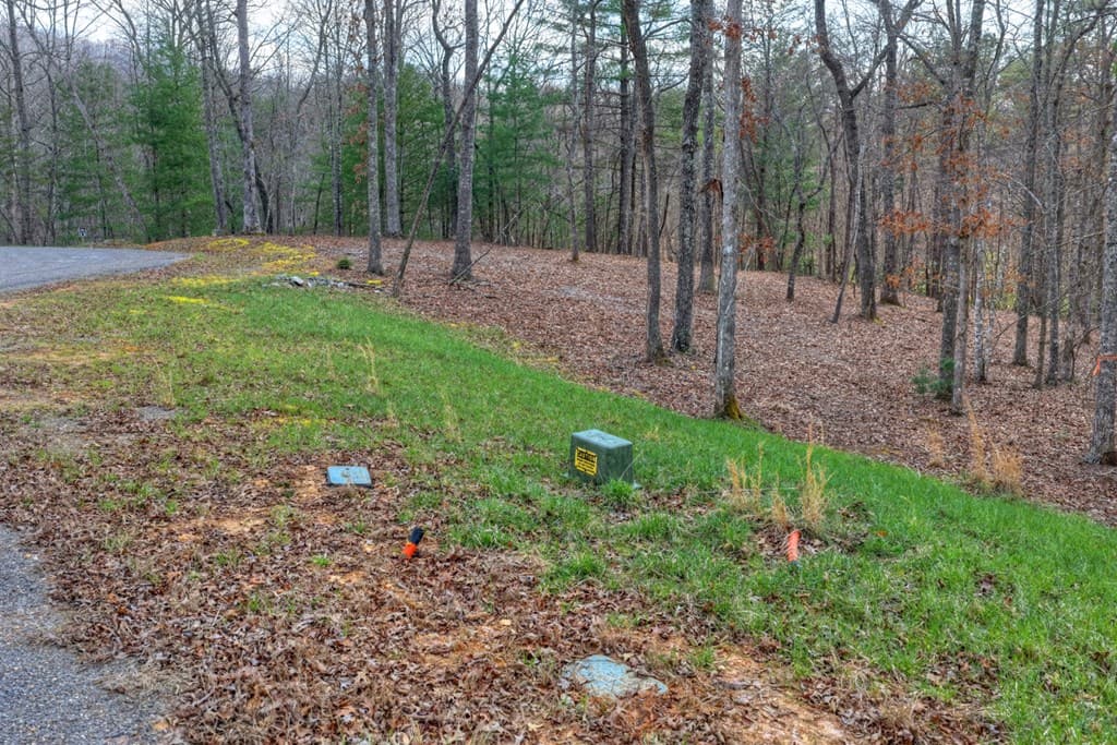 LT 13 Rocky Ridge, Mineral Bluff GA 30559 - Photo