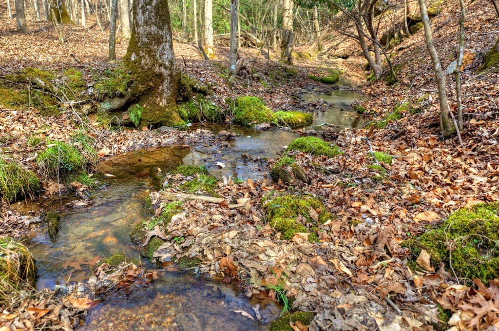 LT 13 Rocky Ridge, Mineral Bluff GA 30559 - Photo