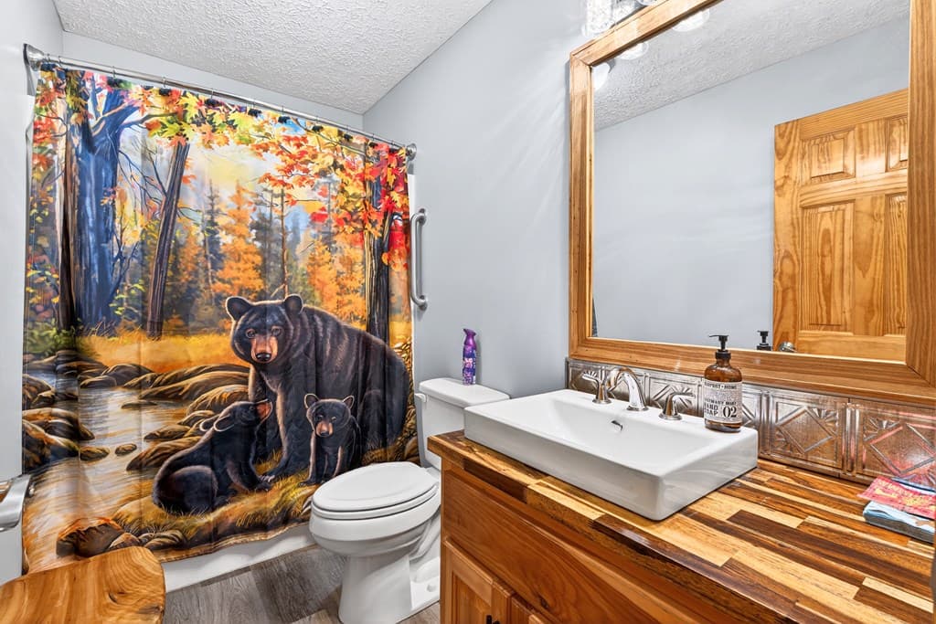 750 S Lemmon Lane, Ellijay GA 30540 - Photo
