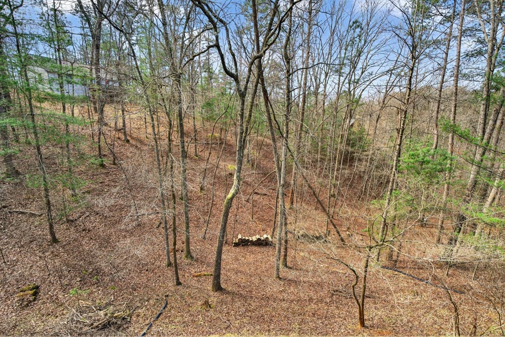 750 S Lemmon Lane, Ellijay GA 30540 - Photo