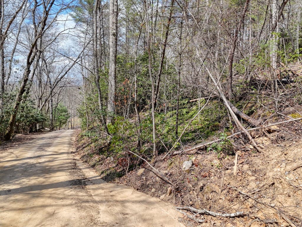 8.43 AC River Cove Lane, Hayesville NC 28904 - Photo