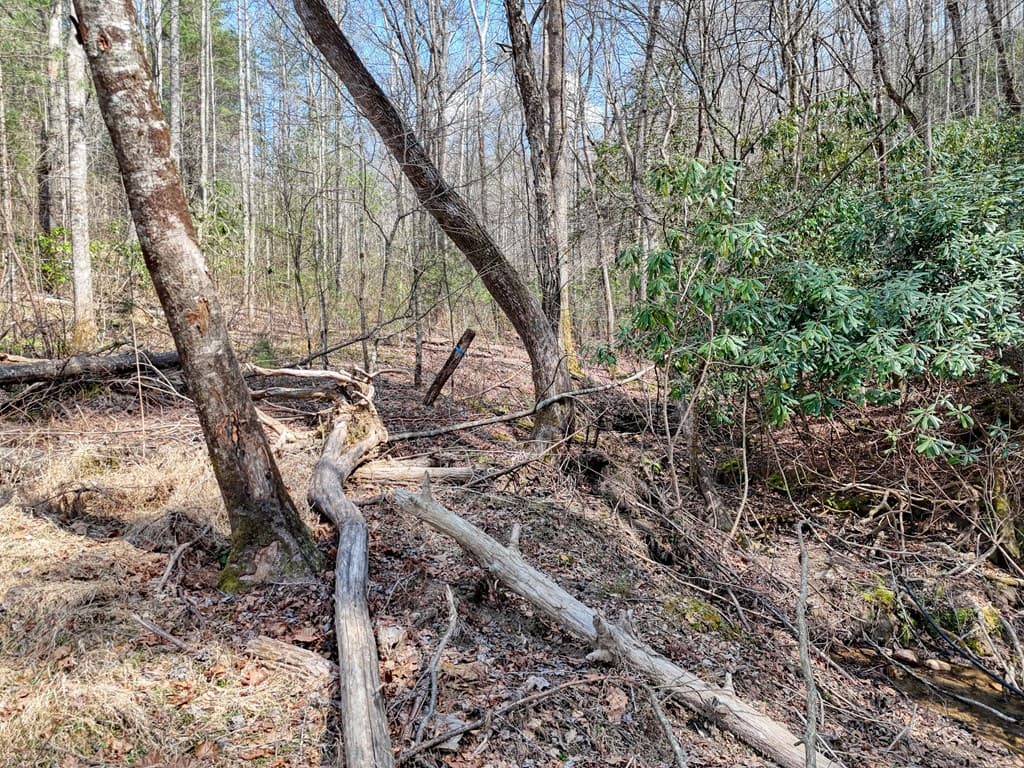 8.43 AC River Cove Lane, Hayesville NC 28904 - Photo