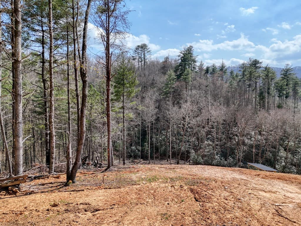8.43 AC River Cove Lane, Hayesville NC 28904 - Photo