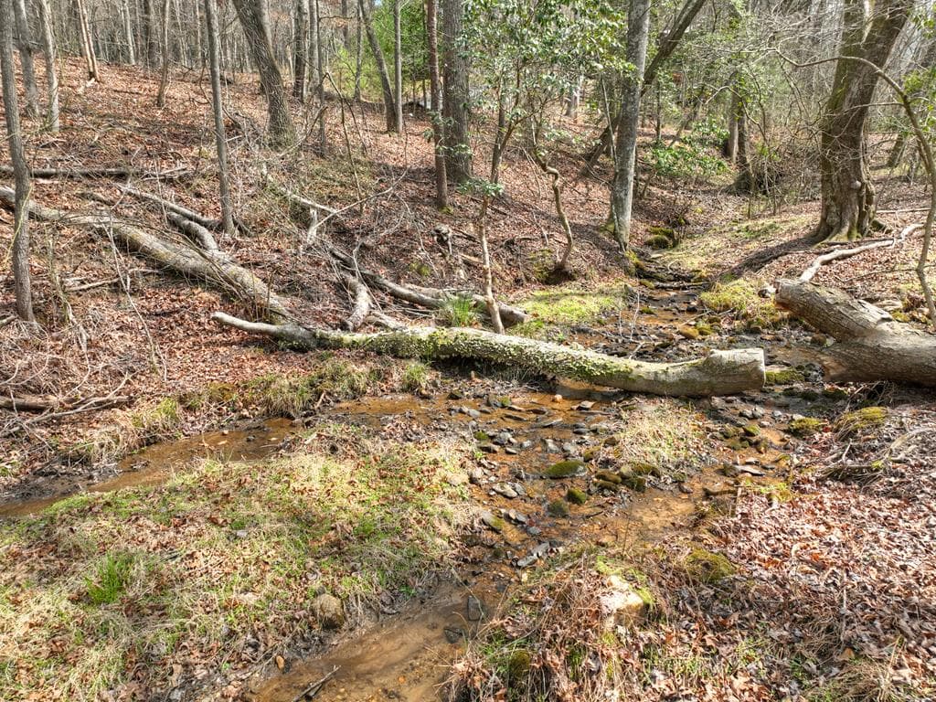 82 Indian Trace, Mineral Bluff GA 30559 - Photo