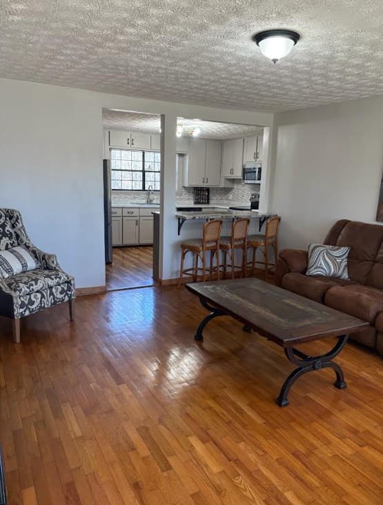 222 Sugar Creek Road, Blue Ridge GA 30513 - Photo