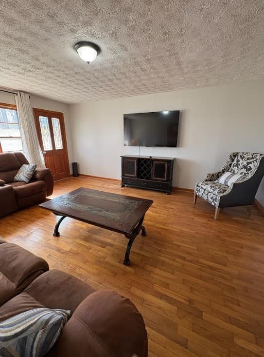 222 Sugar Creek Road, Blue Ridge GA 30513 - Photo