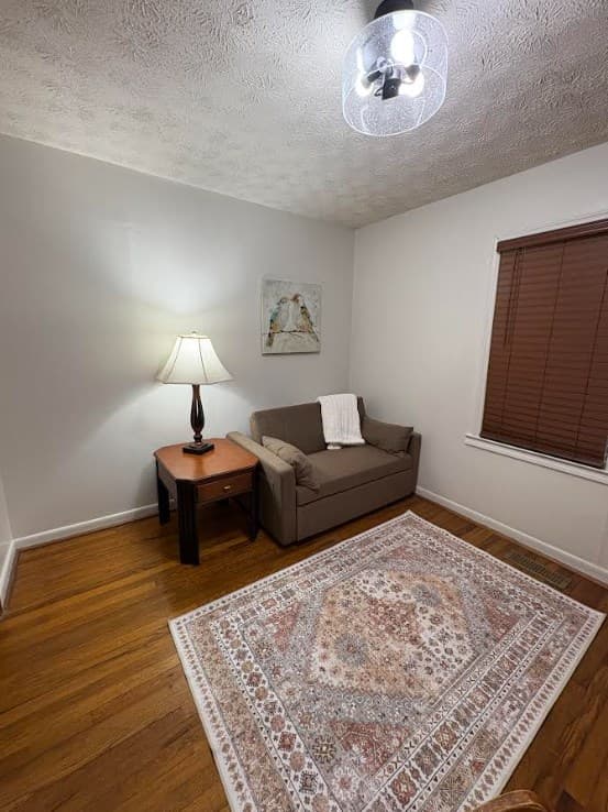 222 Sugar Creek Road, Blue Ridge GA 30513 - Photo