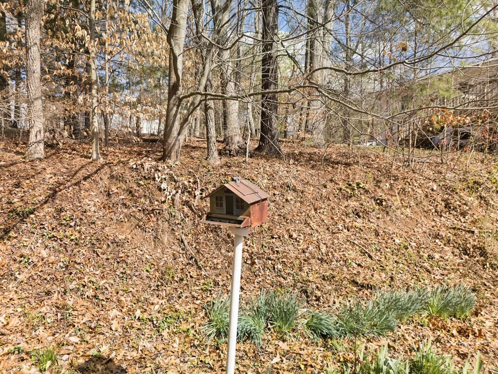 321 Kimsey Street, Blairsville GA 30512 - Photo