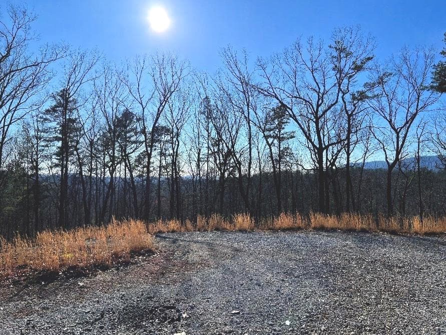 673 Willard Mountain Road, Blue Ridge GA 30513 - Photo