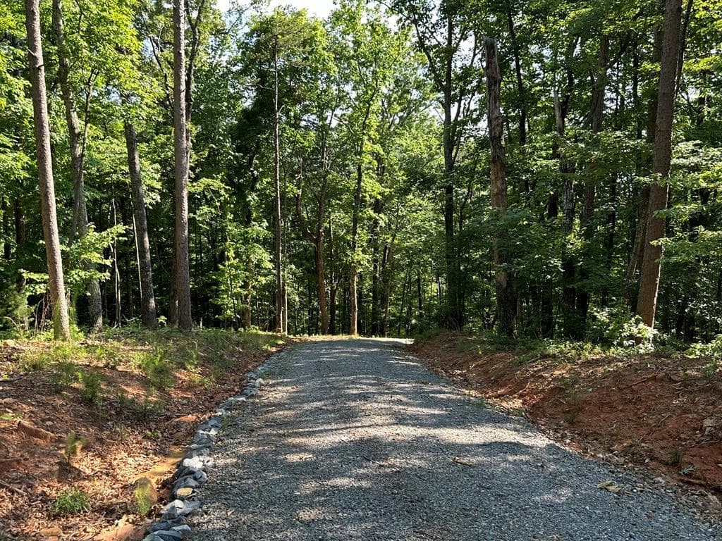 673 Willard Mountain Road, Blue Ridge GA 30513 - Photo