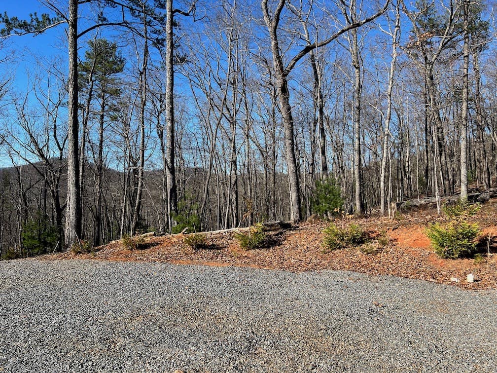 673 Willard Mountain Road, Blue Ridge GA 30513 - Photo