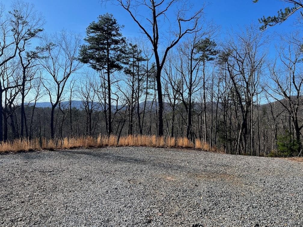 673 Willard Mountain Road, Blue Ridge GA 30513 - Primary photo