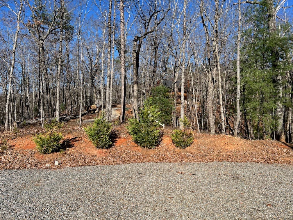 673 Willard Mountain Road, Blue Ridge GA 30513 - Photo