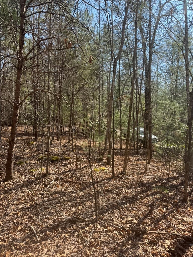 00 Blue Ridge Heights Drive, Hayesville NC 28904 - Photo