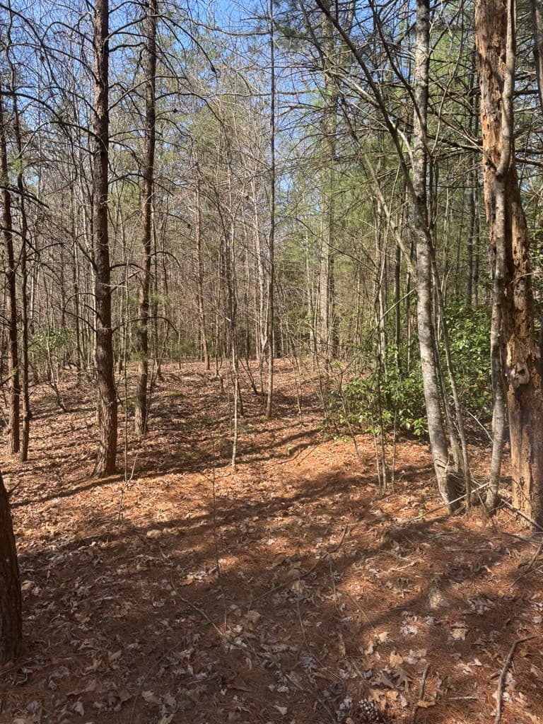 00 Blue Ridge Heights Drive, Hayesville NC 28904 - Photo