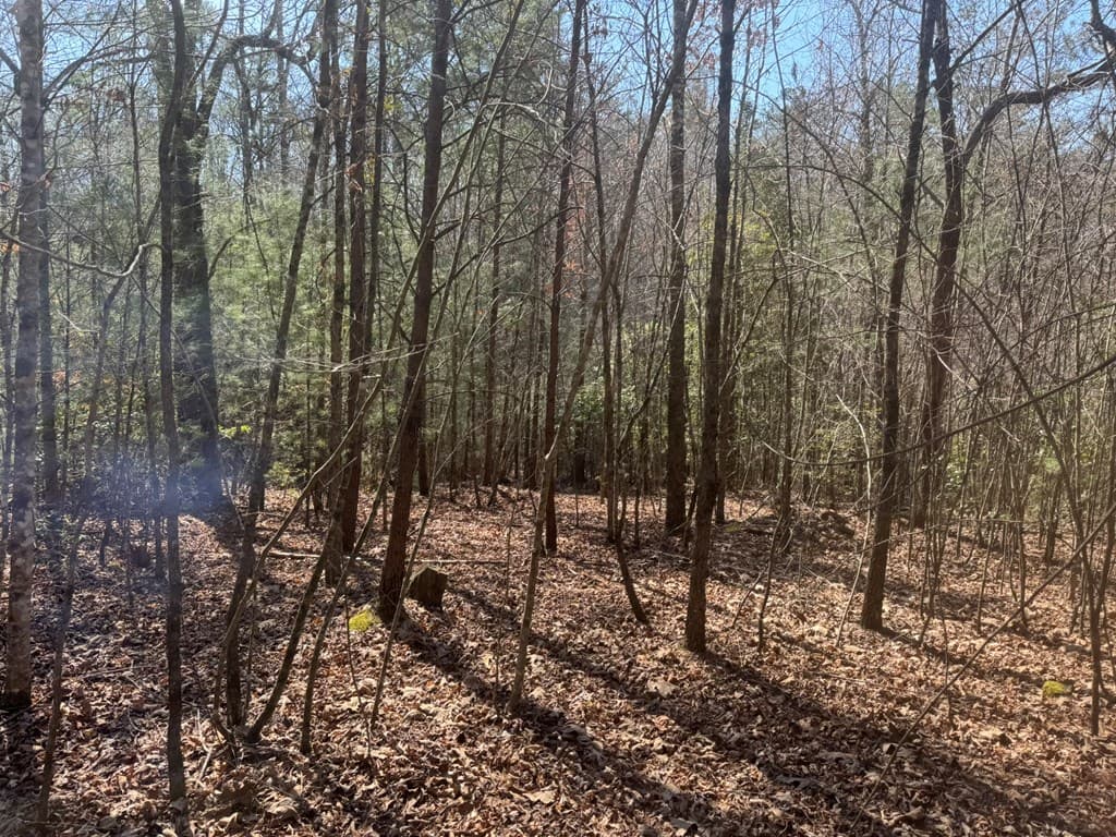 00 Blue Ridge Heights Drive, Hayesville NC 28904 - Photo