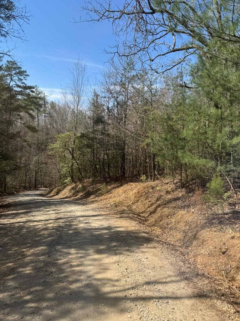 00 Blue Ridge Heights Drive, Hayesville NC 28904 - Primary photo