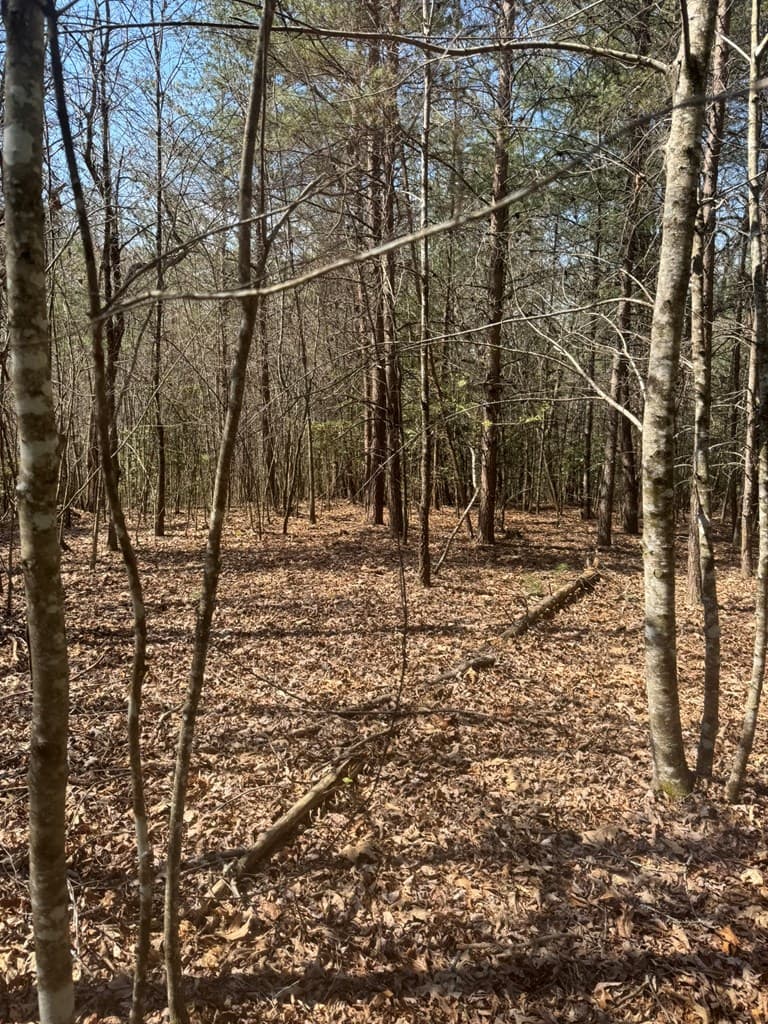 00 Blue Ridge Heights Drive, Hayesville NC 28904 - Photo