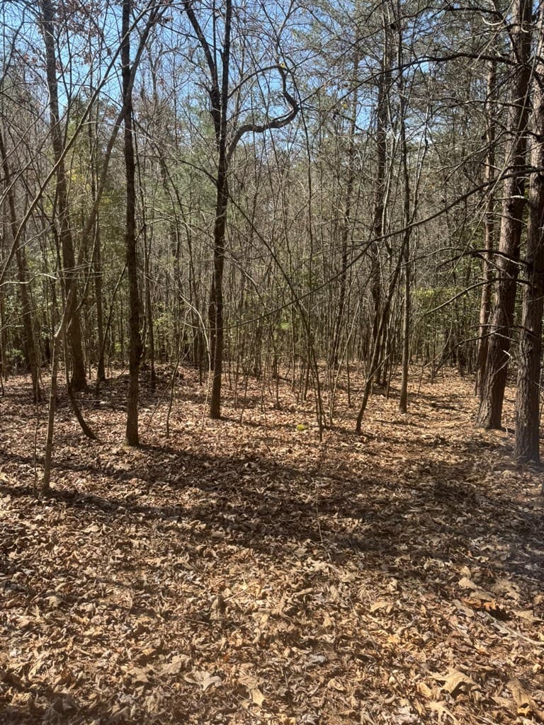 00 Blue Ridge Heights Drive, Hayesville NC 28904 - Photo