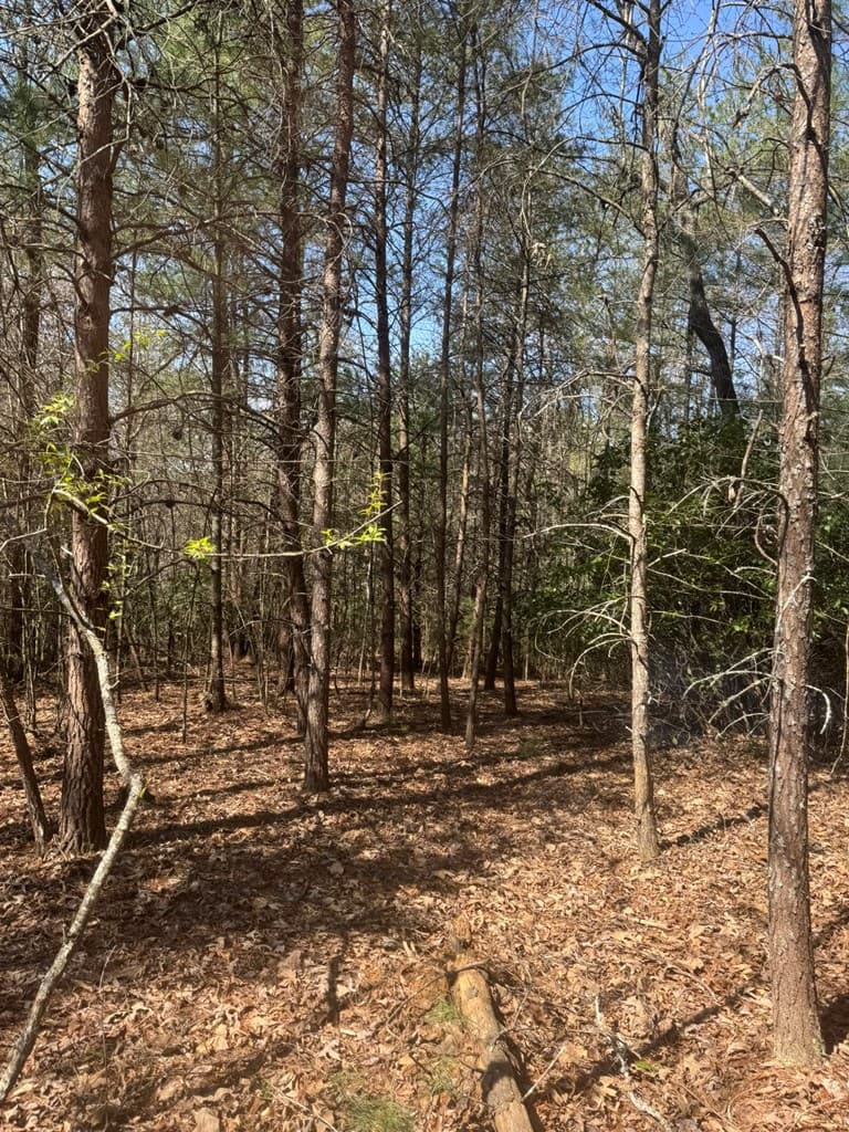 00 Blue Ridge Heights Drive, Hayesville NC 28904 - Photo