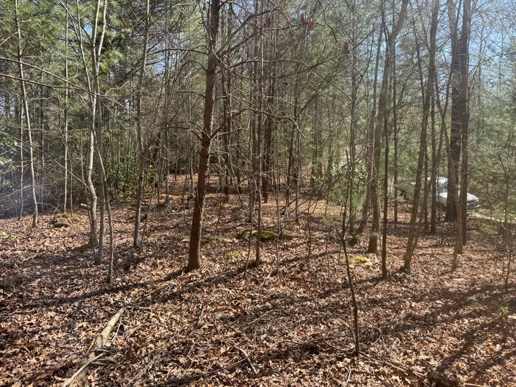 00 Blue Ridge Heights Drive, Hayesville NC 28904 - Photo