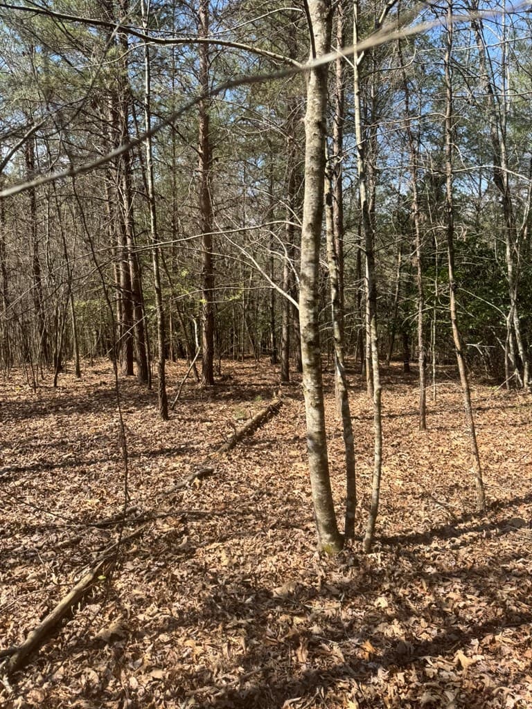 00 Blue Ridge Heights Drive, Hayesville NC 28904 - Photo