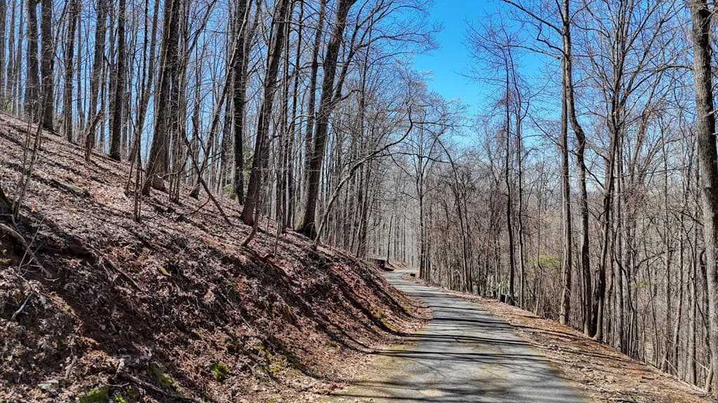 Lot 100 Timberline Acres, Young Harris GA 30582 - Photo