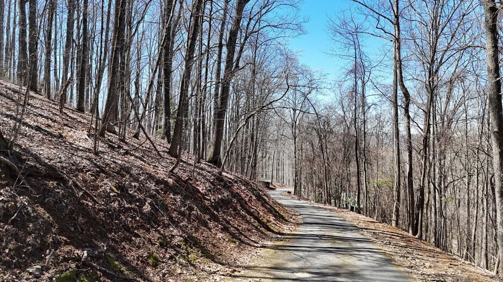 Lot 100 Timberline Acres, Young Harris GA 30582 - Photo