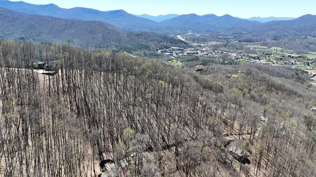 Lot 100 Timberline Acres, Young Harris GA 30582 - Photo