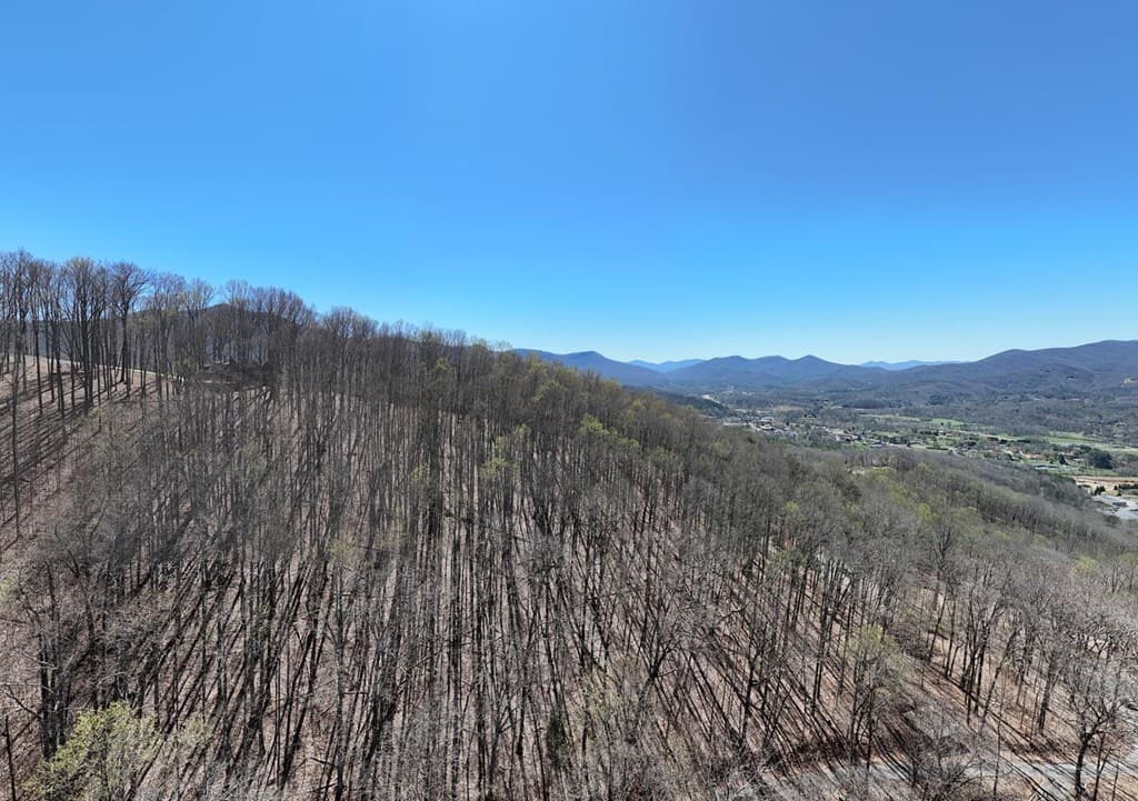 Lot 100 Timberline Acres, Young Harris GA 30582 - Photo