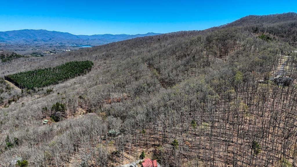 Lot 100 Timberline Acres, Young Harris GA 30582 - Photo