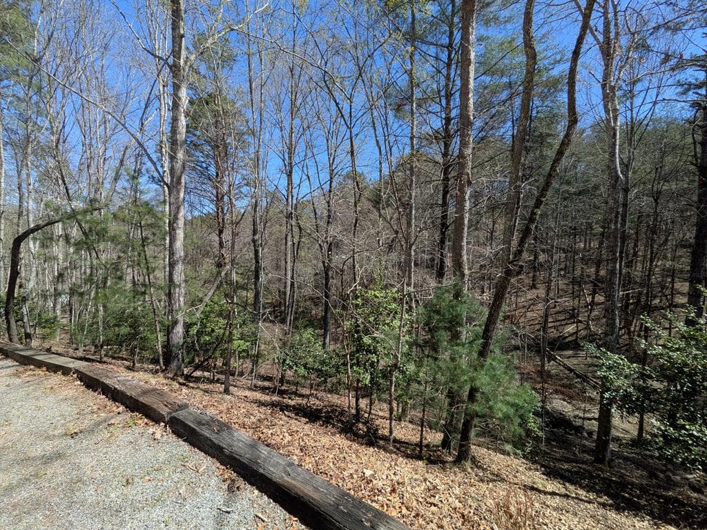 183 Ray-Mar Acres Drive, Murphy NC 28906 - Photo