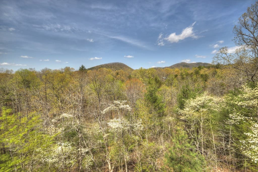 220 Lakota Lane, Mineral Bluff GA 30559 - Photo