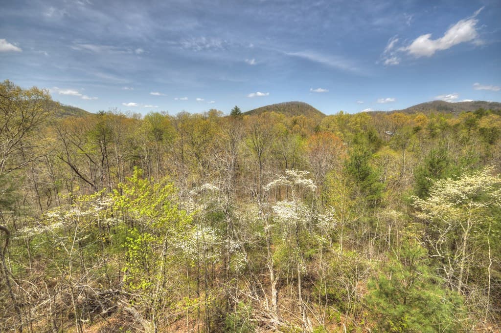 220 Lakota Lane, Mineral Bluff GA 30559 - Photo
