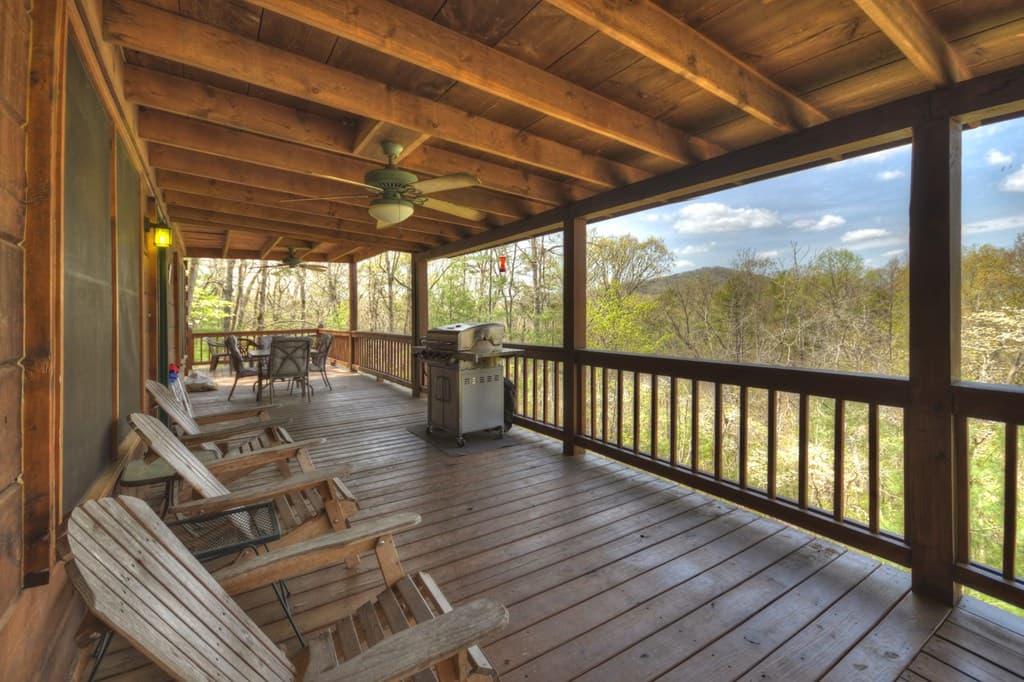220 Lakota Lane, Mineral Bluff GA 30559 - Photo