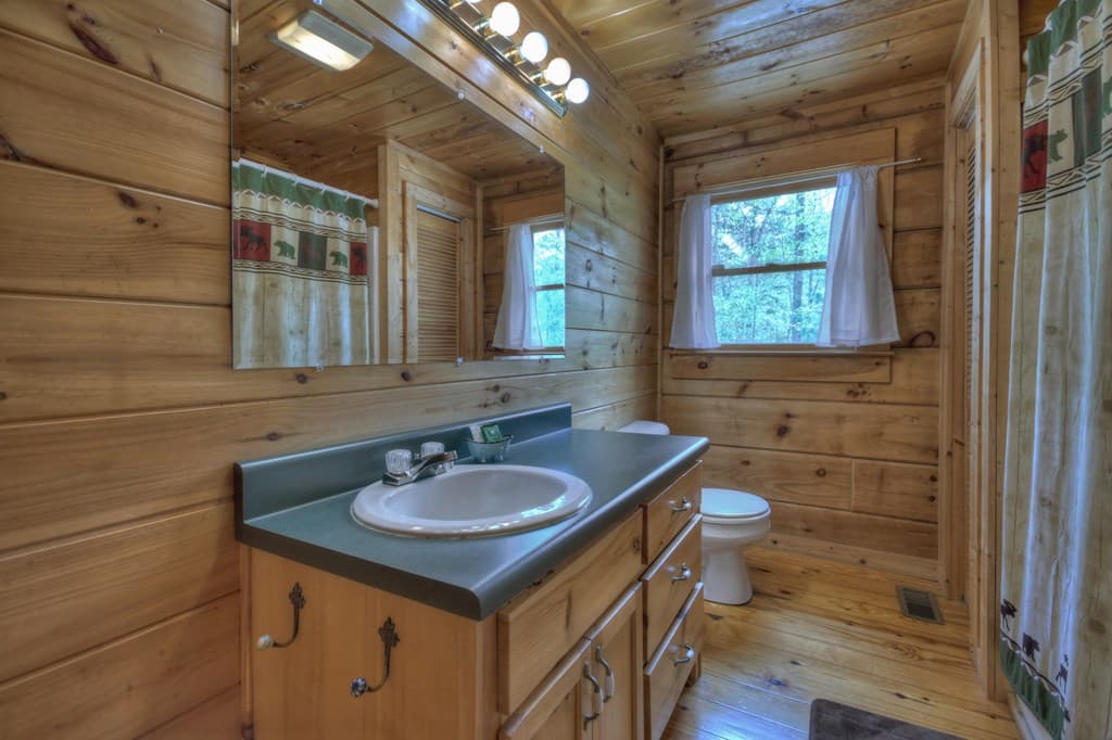 220 Lakota Lane, Mineral Bluff GA 30559 - Photo