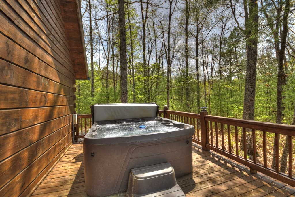 220 Lakota Lane, Mineral Bluff GA 30559 - Photo