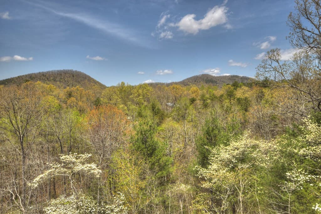 220 Lakota Lane, Mineral Bluff GA 30559 - Photo