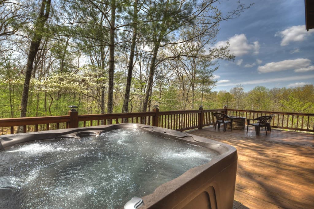 220 Lakota Lane, Mineral Bluff GA 30559 - Photo