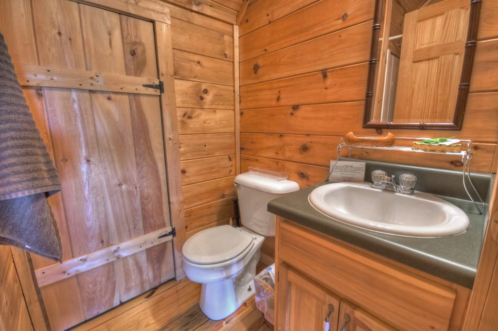 220 Lakota Lane, Mineral Bluff GA 30559 - Photo