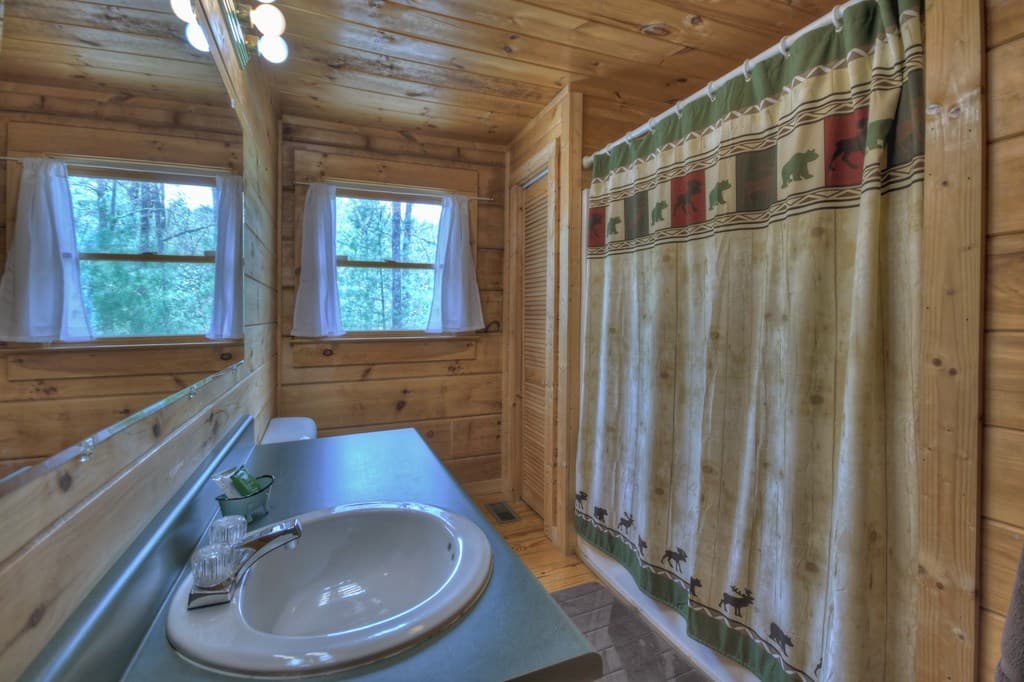 220 Lakota Lane, Mineral Bluff GA 30559 - Photo
