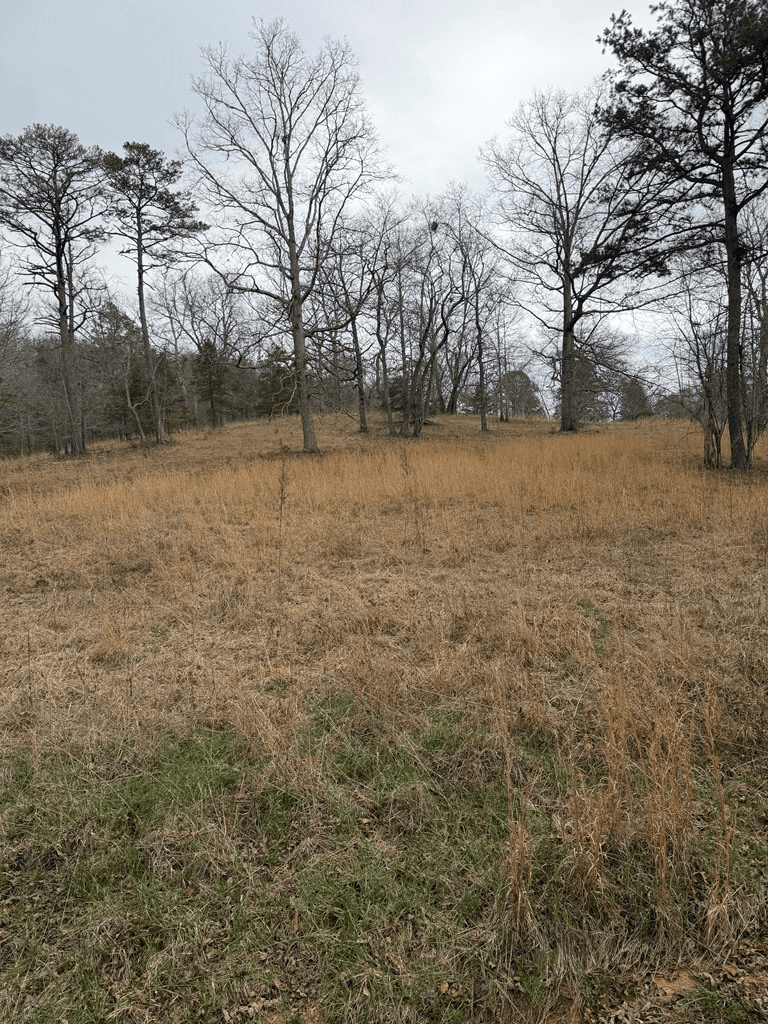 2-5 Country Lane, Murphy NC 28906 - Photo