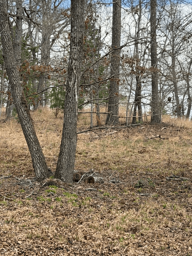 2-5 Country Lane, Murphy NC 28906 - Photo