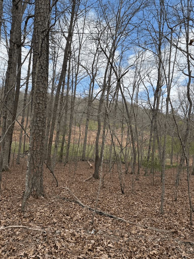 2-5 Country Lane, Murphy NC 28906 - Photo