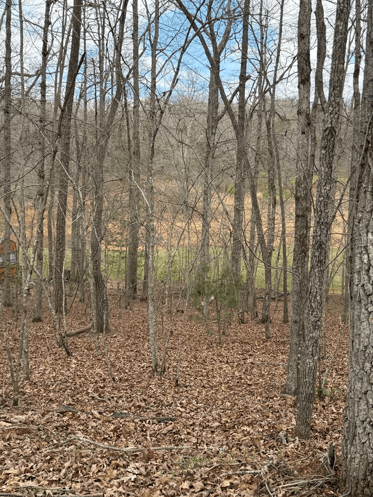2-5 Country Lane, Murphy NC 28906 - Photo