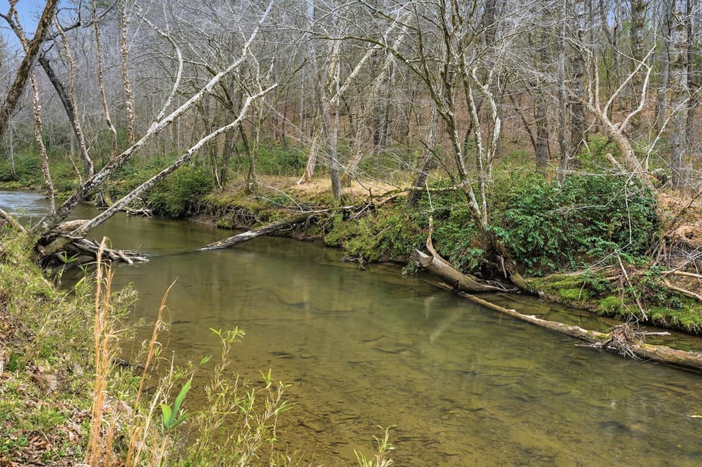 1914 Creekstone Lane, Young Harris GA 30582 - Photo
