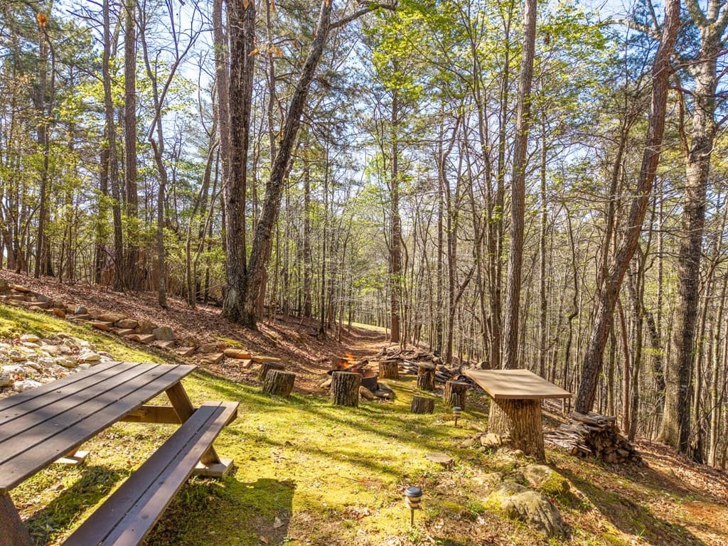 144 Monet Drive, Ellijay GA 30540 - Photo